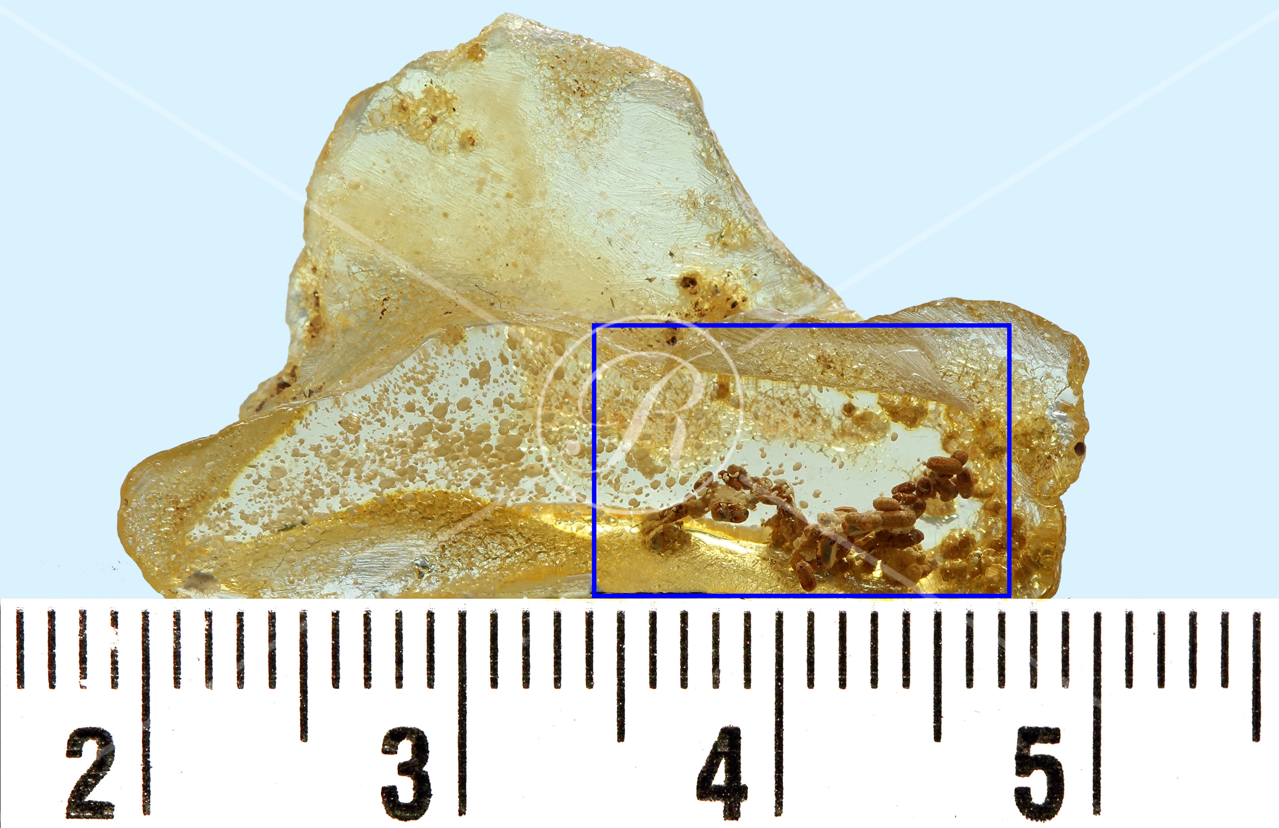 Watermark_233_N110éch .jpg